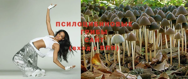 а пвп мука Баксан